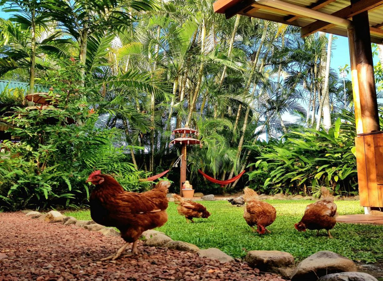 Tropic Days Boutique Hostel 케언스 외부 사진
