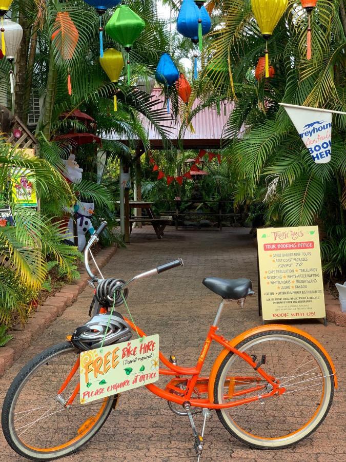Tropic Days Boutique Hostel 케언스 외부 사진